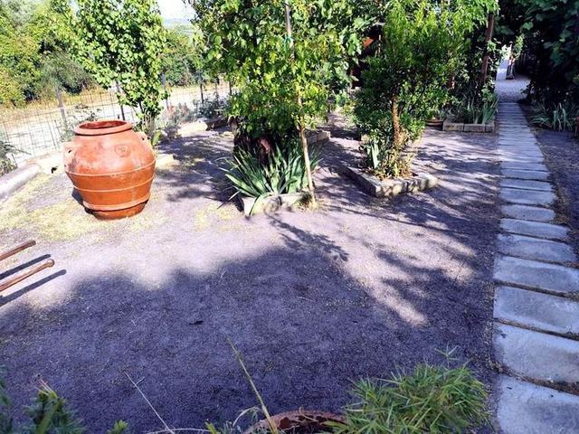 Superficie scalpata e ripulita, vialetto in pietra liberato