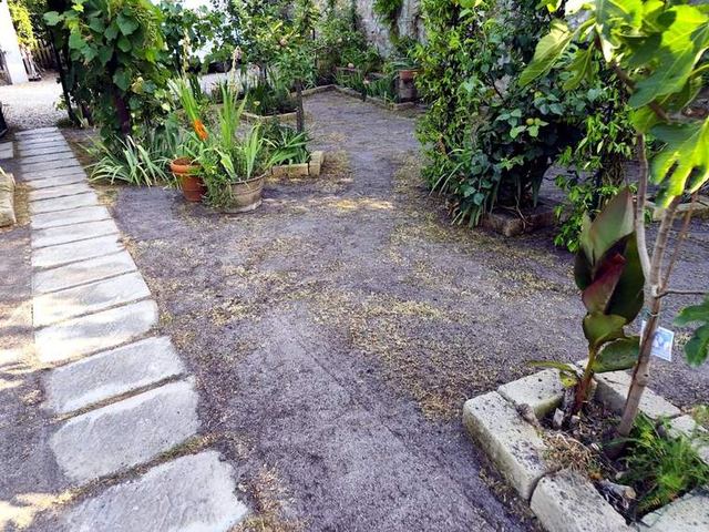 Terreno livellato lungo il camminamento principale