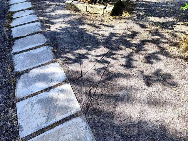 Veduta d'insieme del giardino prima della semina