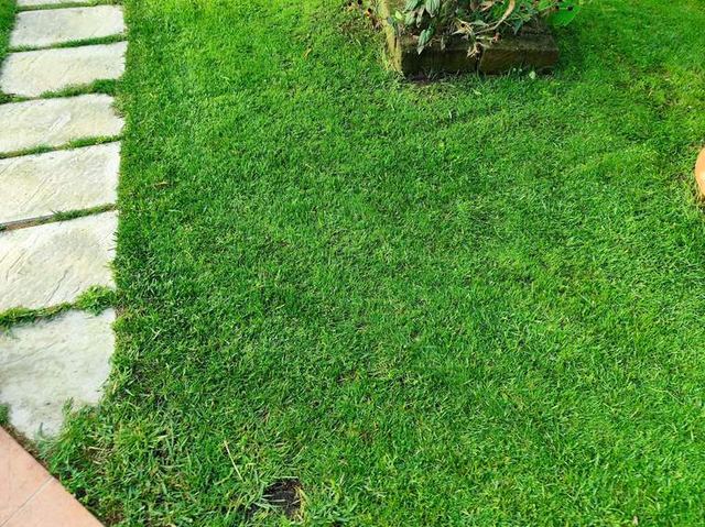 Densità piena fino al bordo del camminamento