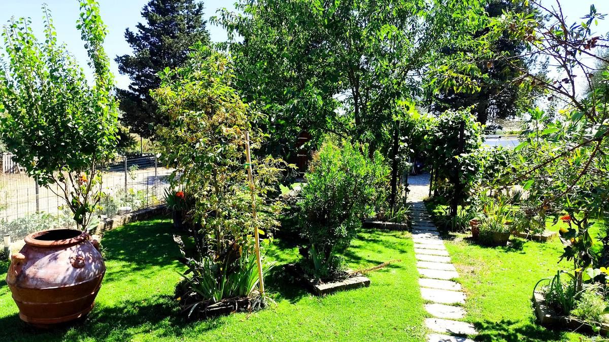 Il giardino oggi: prato macroterma denso, vialetto in pietra, orcio in terracotta