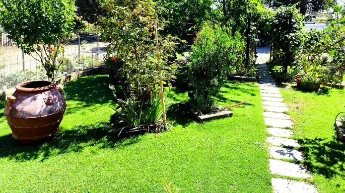 Lo stesso giardino al giorno 39: prato fitto e verde, con l'orcio e il vialetto in pietra