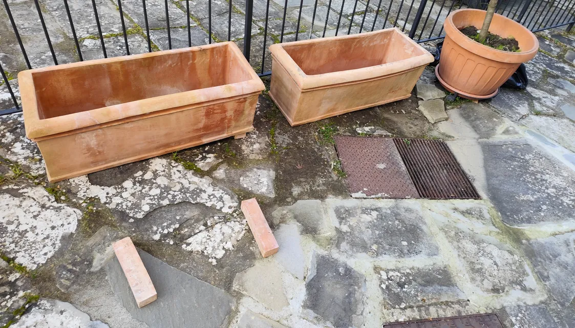 Cassette in terracotta e vaso con olivo